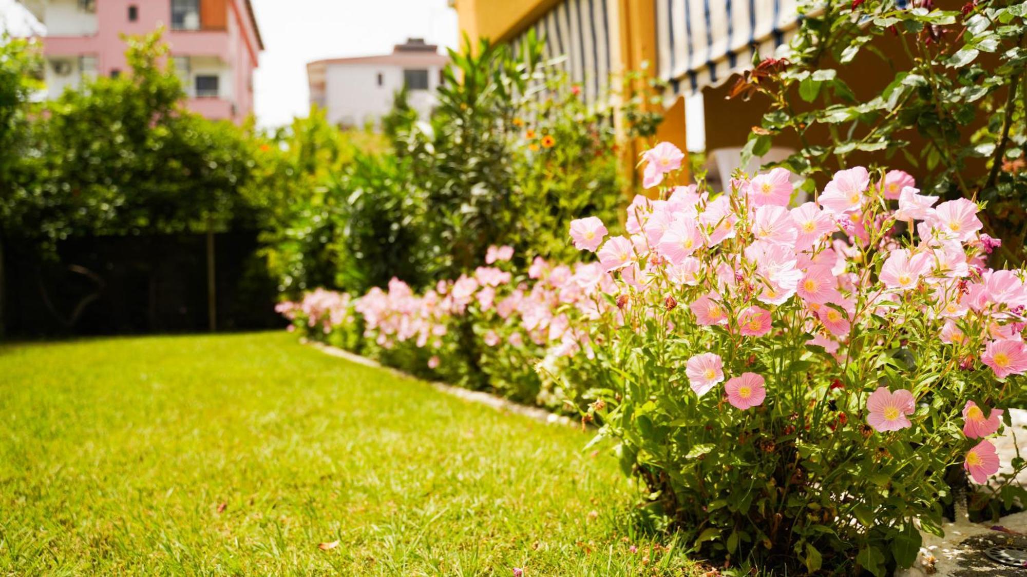 Vila Aliaj Luxury Apartment With 2 Rooms With Private Wonderful Terrace Durres Luaran gambar
